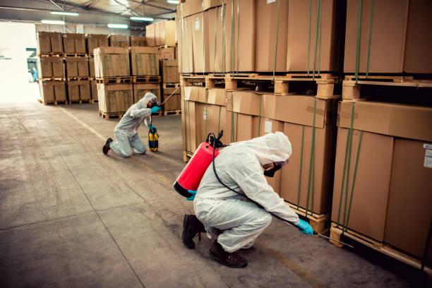 Best Termite Control Services  in Davenport, WA