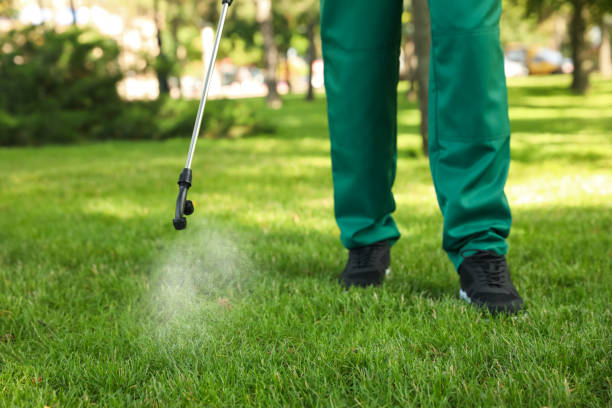 Pest Prevention Services in Davenport, WA