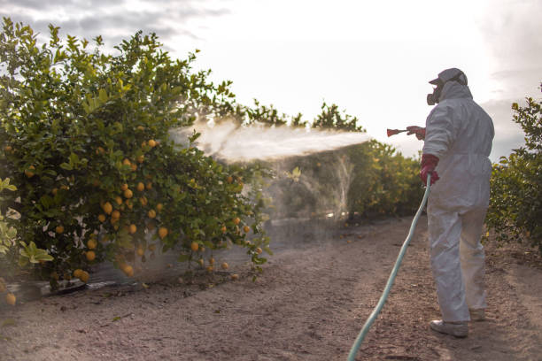 Best Flea Control Services  in Davenport, WA