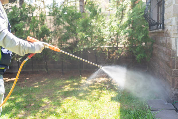 Best Emergency Pest Control  in Davenport, WA
