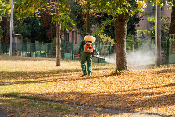 Professional Pest Control in Davenport, WA