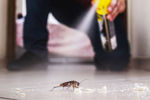 Professional Pest Control in Davenport, WA