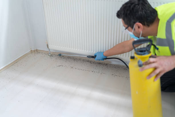 Best Flea Control Services  in Davenport, WA